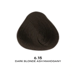 Alfaparf Evolution of the Color CUBE hajfesték - 6.15  60 ml Dark Ash Mahagony Blonde főképe